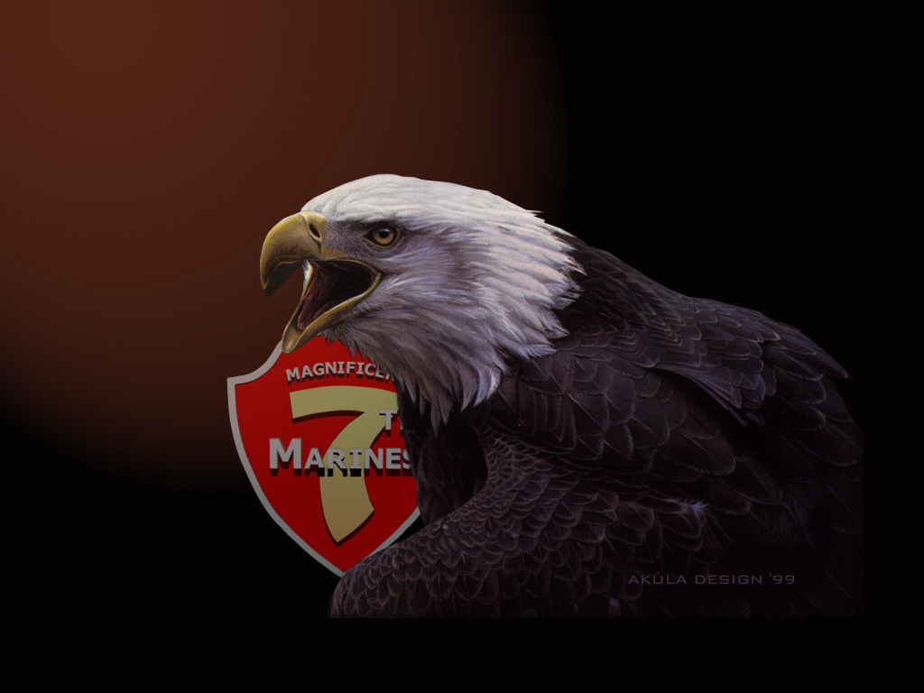 7th Marines Wallpaper 7th Marines Wallpaper